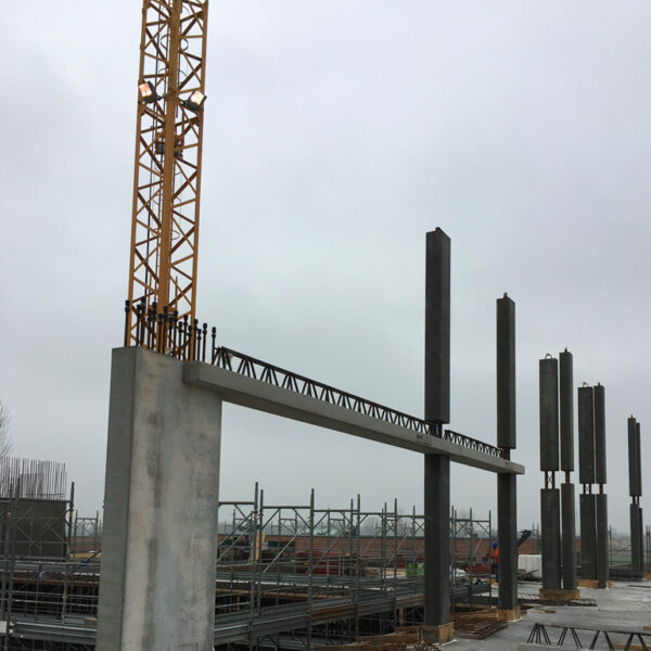 IMG 1323 600x600