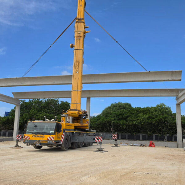 Sassari1b 600x600